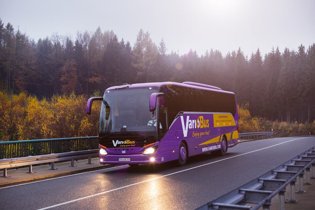 Fahrschule VarioDrive (PKW, Bus, LKW)